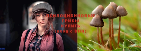 герыч Балахна