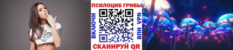 дарнет шоп  Давлеканово  маркетплейс официальный сайт  Галлюциногенные грибы мицелий 